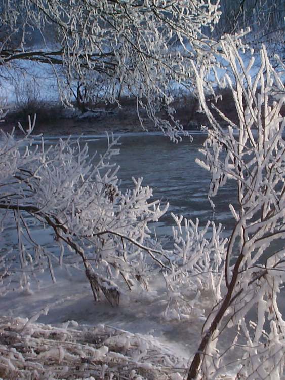 Winterstimmung am Kocher bei Schwäbisch Hall (Bitte hier klicken um dieses Bild in seiner vollen Größe zu betrachten)