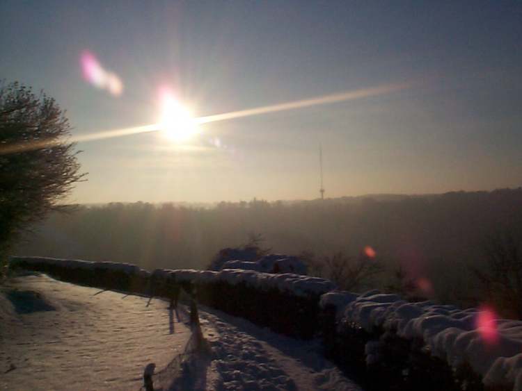 Bei Waldenburg im Winter  (Bitte hier klicken um dieses Bild in seiner vollen Größe zu betrachten)