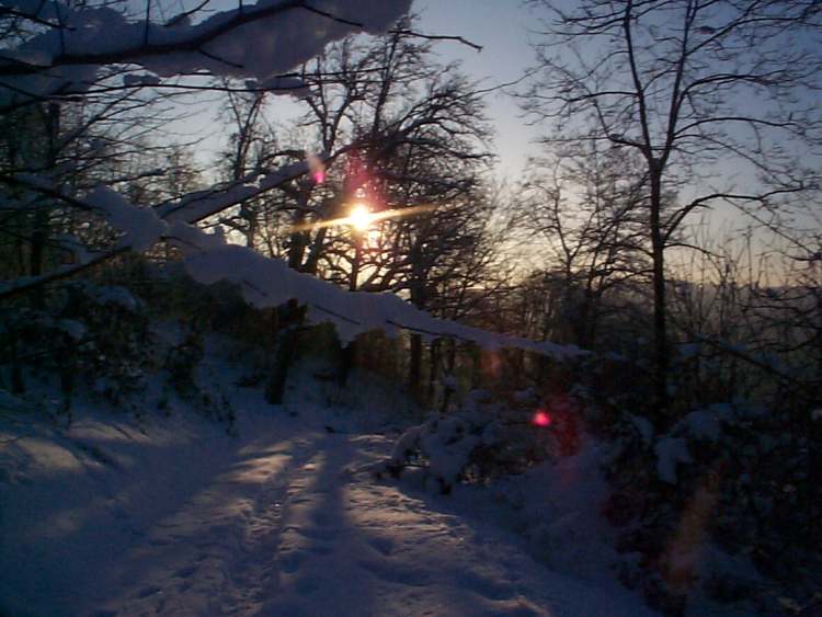 tiefstehende Wintersonne (Bitte hier klicken um dieses Bild in seiner vollen Größe zu betrachten)