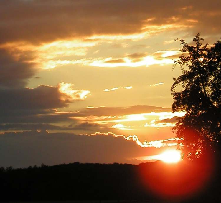 Sonnenuntergang (Bitte hier klicken um dieses Bild in seiner vollen Größe zu betrachten)