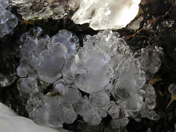 Eisknollen im Winterbach (Bitte hier klicken um dieses Bild in seiner vollen Größe zu betrachten)