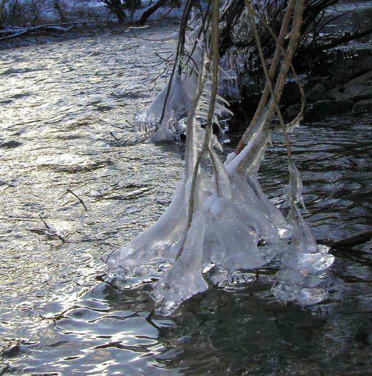 Eiskristalle am Fluss (Bitte hier klicken um dieses Bild in seiner vollen Größe zu betrachten)