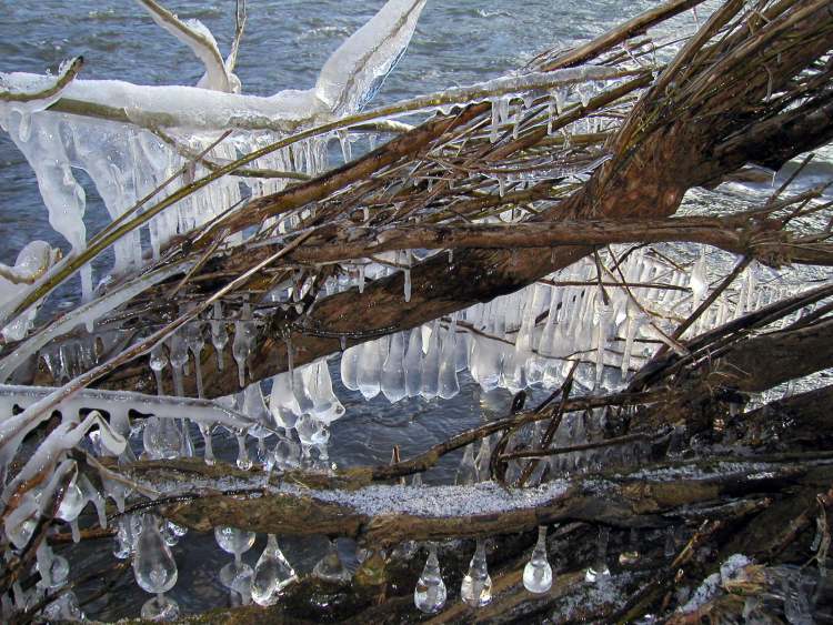 Eiskristalle die in den Fluss ragen (Bitte hier klicken um dieses Bild in seiner vollen Größe zu betrachten)