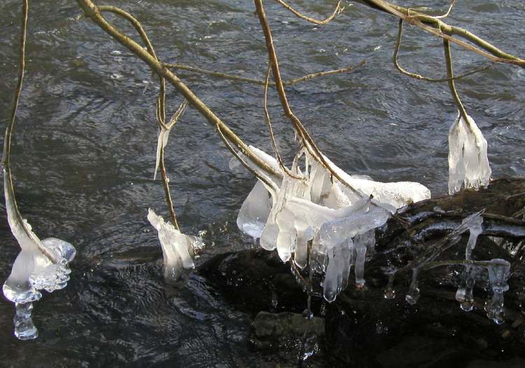 Eiszapfen im Fluss (Bitte hier klicken um dieses Bild in seiner vollen Größe zu betrachten)