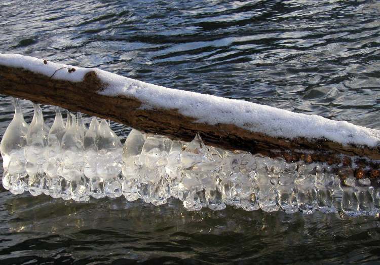 Eis an Baumstamm über dem Fluss (Bitte hier klicken um dieses Bild in seiner vollen Größe zu betrachten)