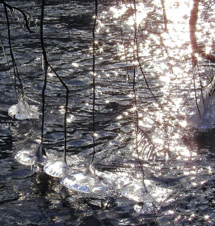 im Winter ein Fluss und Eis und Licht (Bitte hier klicken um dieses Bild in seiner vollen Größe zu betrachten)