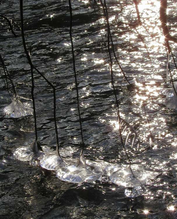 Fluss mit Eis und Licht (Bitte hier klicken um dieses Bild in seiner vollen Größe zu betrachten)
