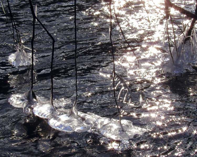 ein Fluss und Eis und Licht (Bitte hier klicken um dieses Bild in seiner vollen Größe zu betrachten)