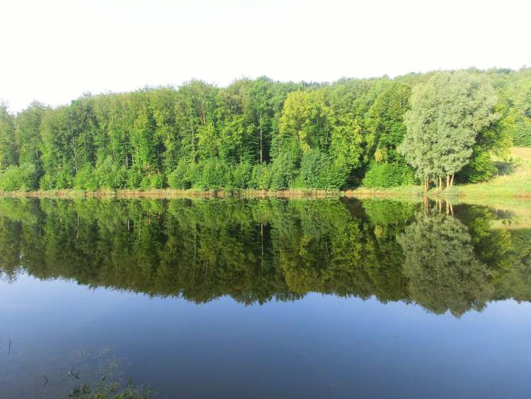 Die Seespiegelung (Bitte hier klicken um dieses Bild in seiner vollen Größe zu betrachten)