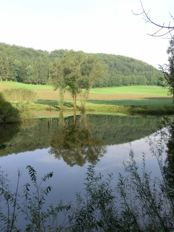 Wasserspiegelung am Gnadentaler Stausee (Bitte hier klicken um dieses Bild in seiner vollen Größe zu betrachten)