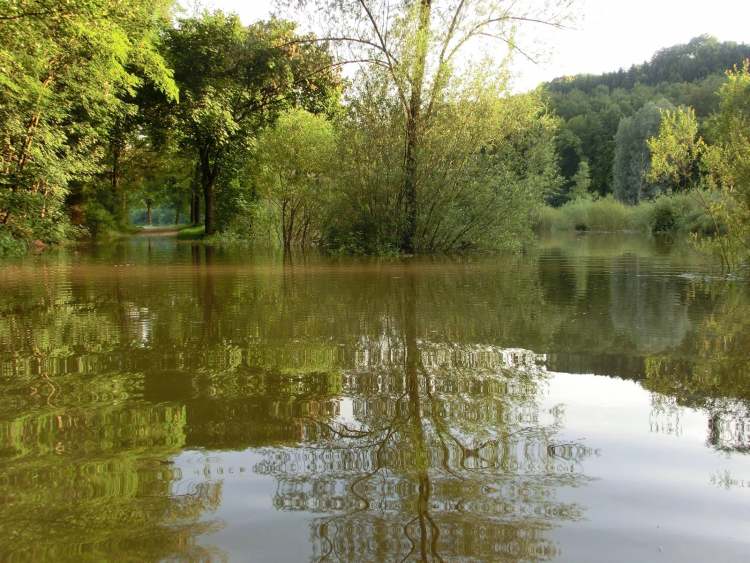 bei Hochwasser sind die Spiegelungen im See besonders gut (Bitte hier klicken um dieses Bild in seiner vollen Größe zu betrachten)