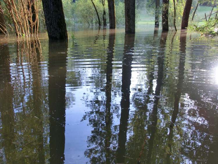 Hochwasserstand (Bitte hier klicken um dieses Bild in seiner vollen Größe zu betrachten)