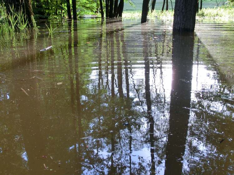 Schlagschatten im Hochwasser (Bitte hier klicken um dieses Bild in seiner vollen Größe zu betrachten)