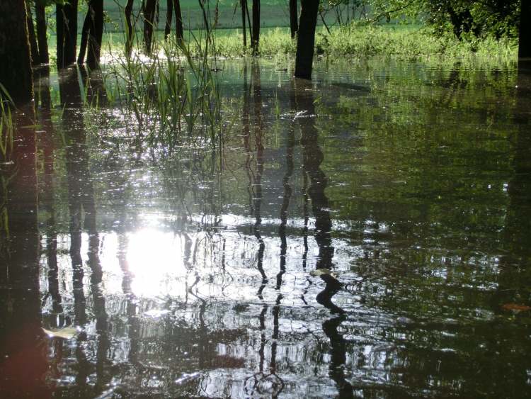 Wellen und Schatten im Hochwasser (Bitte hier klicken um dieses Bild in seiner vollen Größe zu betrachten)