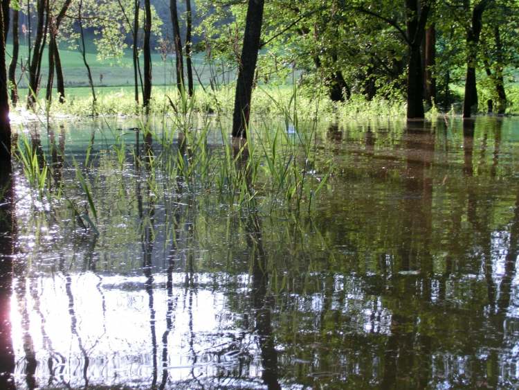 romantische Stimmung bei Hochwasserüberschwemmung (Bitte hier klicken um dieses Bild in seiner vollen Größe zu betrachten)