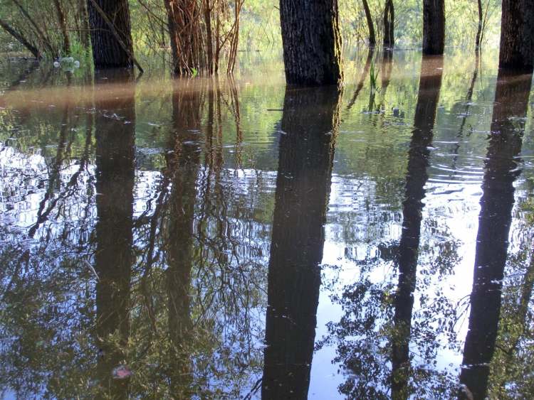 Wasserspiegelung am Gnadentaler Stausee im Hochwasser (Bitte hier klicken um dieses Bild in seiner vollen Größe zu betrachten)