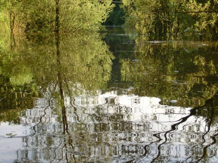 romantische Stimmung bei Hochwasser (Bitte hier klicken um dieses Bild in seiner vollen Größe zu betrachten)