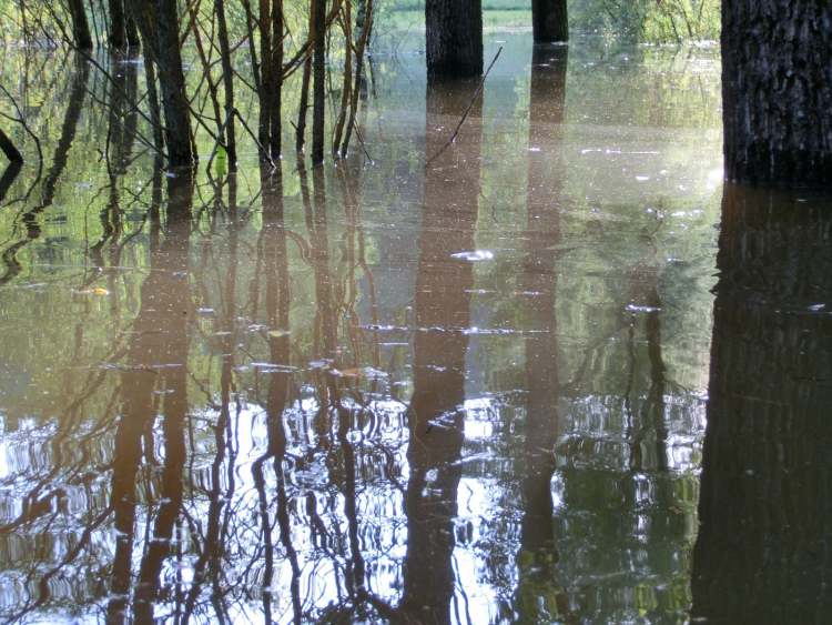 Das Licht über dem Hochwasser (Bitte hier klicken um dieses Bild in seiner vollen Größe zu betrachten)