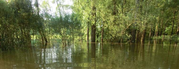 im Hochwasser (Bitte hier klicken um dieses Bild in seiner vollen Größe zu betrachten)