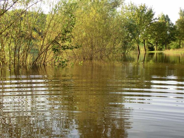 Hochwasser im See (Bitte hier klicken um dieses Bild in seiner vollen Größe zu betrachten)