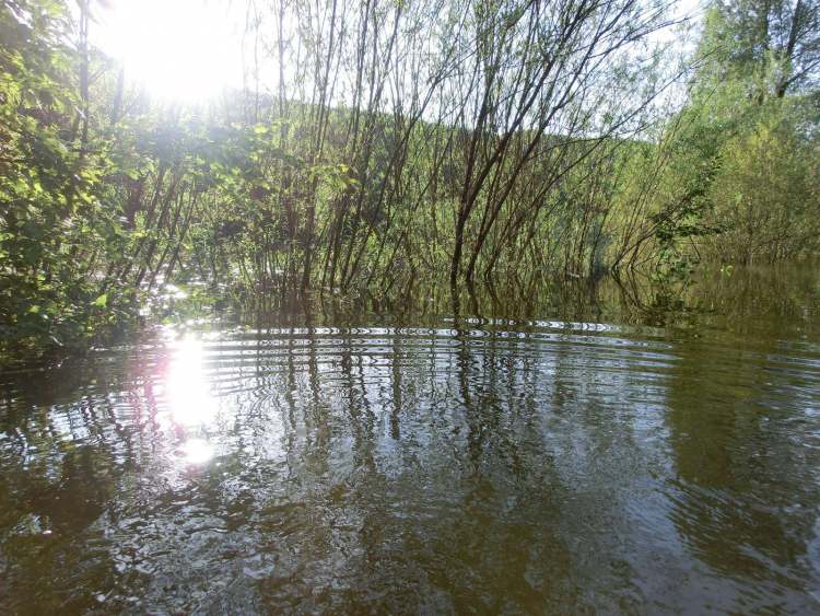 Wellen im Hochwasser See (Bitte hier klicken um dieses Bild in seiner vollen Größe zu betrachten)