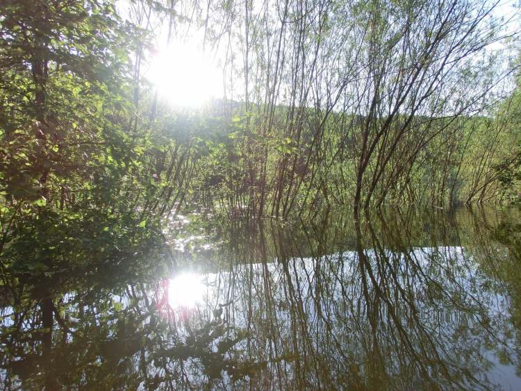 bei Hochwasser zwei Sonnen sichtbar (Bitte hier klicken um dieses Bild in seiner vollen Größe zu betrachten)