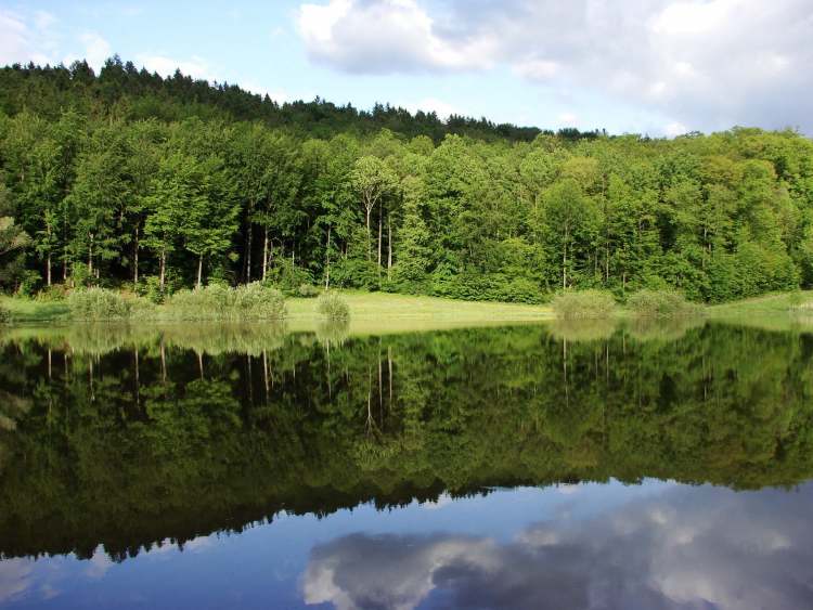 Gnadentaler Stausee Wasserspiegelungen (Bitte hier klicken um dieses Bild in seiner vollen Größe zu betrachten)