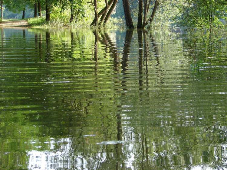 Gnadentaler Stausee überflutet (Bitte hier klicken um dieses Bild in seiner vollen Größe zu betrachten)