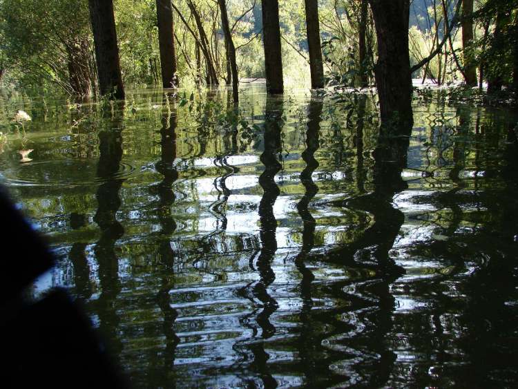 bewegtes Hochwasser (Bitte hier klicken um dieses Bild in seiner vollen Größe zu betrachten)