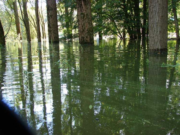 Hochwasser im Sailacher Stausee (Bitte hier klicken um dieses Bild in seiner vollen Größe zu betrachten)