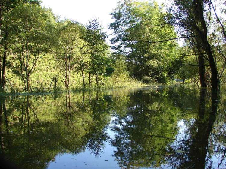 Hochwasser Gnadentaler Stausee (bei Sailach) (Bitte hier klicken um dieses Bild in seiner vollen Größe zu betrachten)