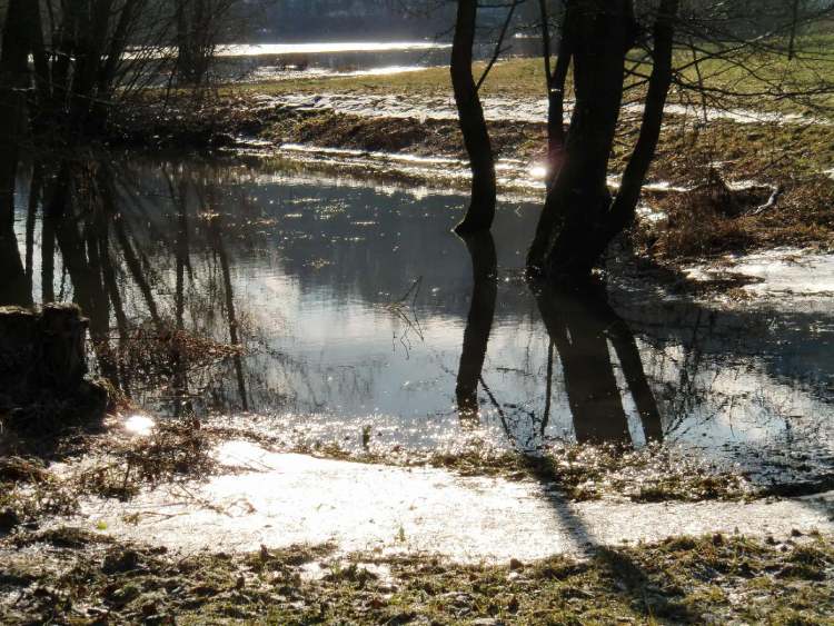 Gnadentaler Stausee Überflutung (Bitte hier klicken um dieses Bild in seiner vollen Größe zu betrachten)