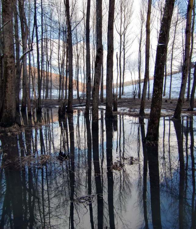 Gnadentaler Stausee überflutet im Winter (Bitte hier klicken um dieses Bild in seiner vollen Größe zu betrachten)