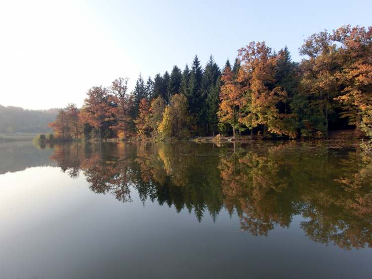 Neumühlsee im Herbst 4b (Bitte hier klicken um dieses Bild in seiner vollen Größe zu betrachten)