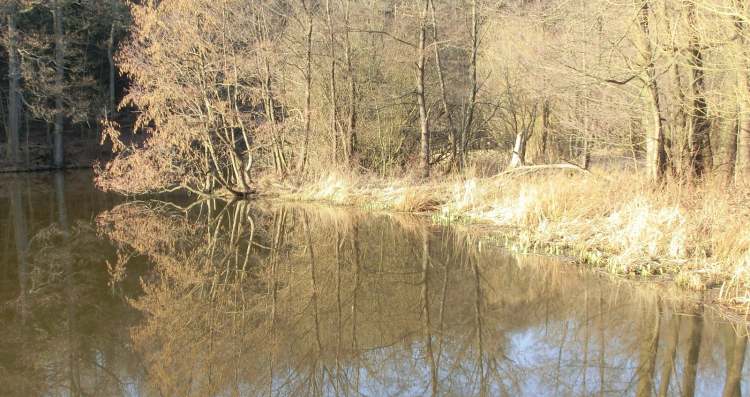 Neumühlsee05b (Bitte hier klicken um dieses Bild in seiner vollen Größe zu betrachten)