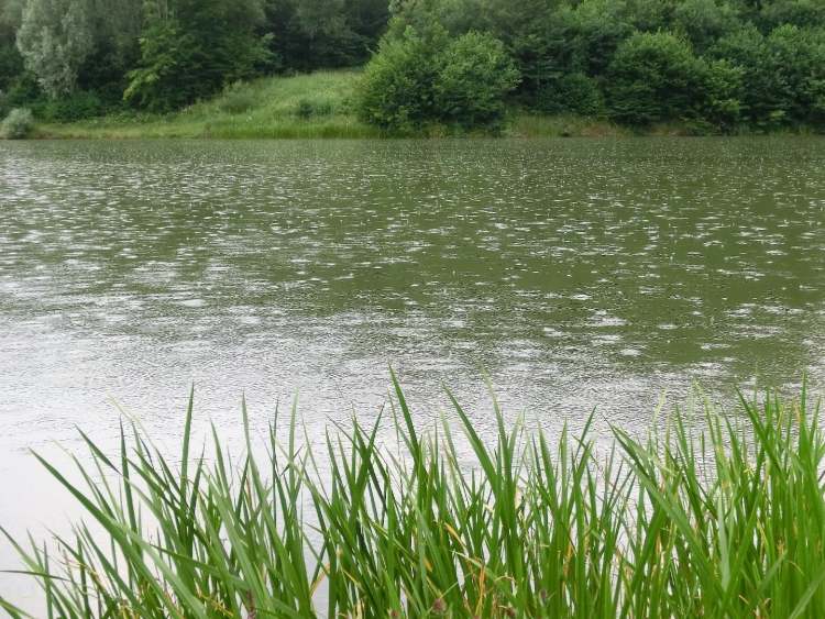 Regen auf See (Bitte hier klicken um dieses Bild in seiner vollen Größe zu betrachten)