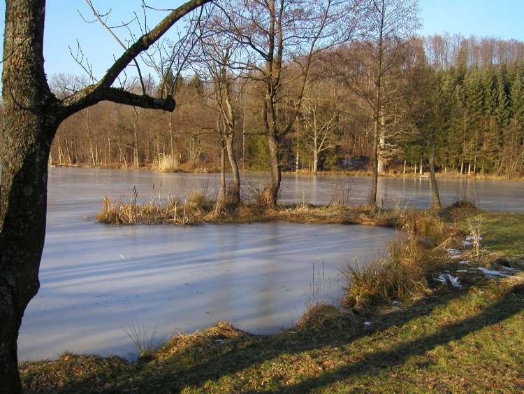 Neumühlsee zugefroren (Bitte hier klicken um dieses Bild in seiner vollen Größe zu betrachten)