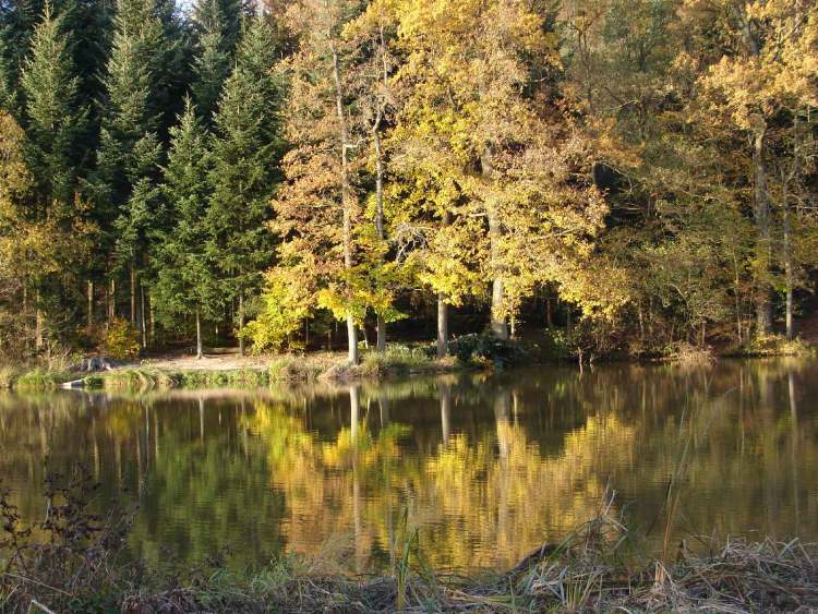 Spätherbst am Neumühlsee (Bitte hier klicken um dieses Bild in seiner vollen Größe zu betrachten)