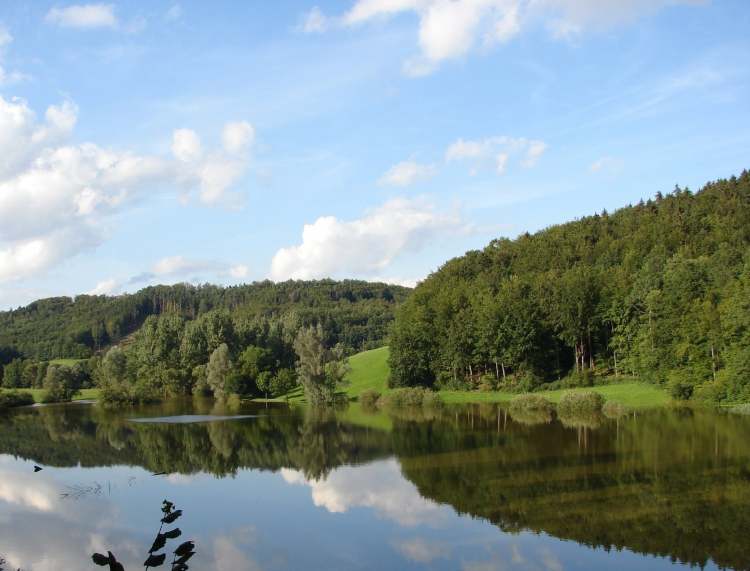 hoher Wasserstand am Sailacher Stausee (Bitte hier klicken um dieses Bild in seiner vollen Größe zu betrachten)