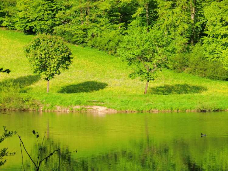 der grüne See (Bitte hier klicken um dieses Bild in seiner vollen Größe zu betrachten)