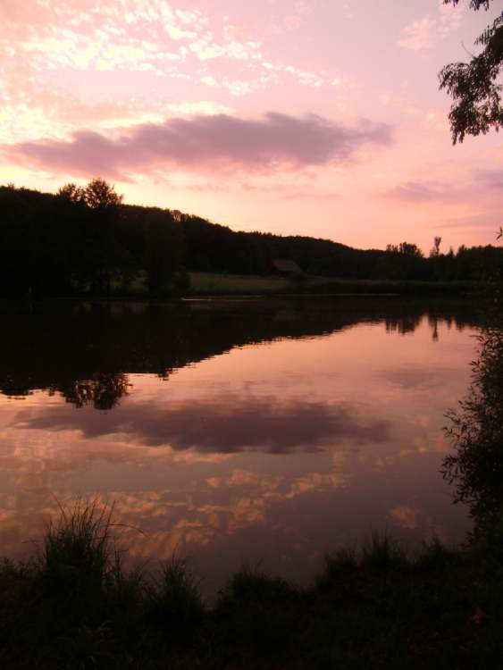 Seestimmung am Abend (Neumühl-See bei Waldenburg) (Bitte hier klicken um dieses Bild in seiner vollen Größe zu betrachten)