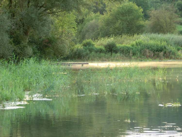 Steg am Starkholzbacher See (Bitte hier klicken um dieses Bild in seiner vollen Größe zu betrachten)