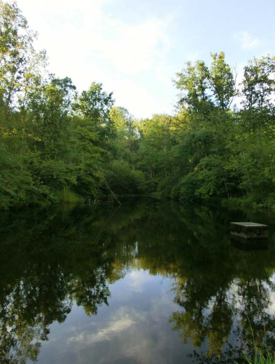 Waldsee bei Schwäbisch Hall (Bitte hier klicken um dieses Bild in seiner vollen Größe zu betrachten)