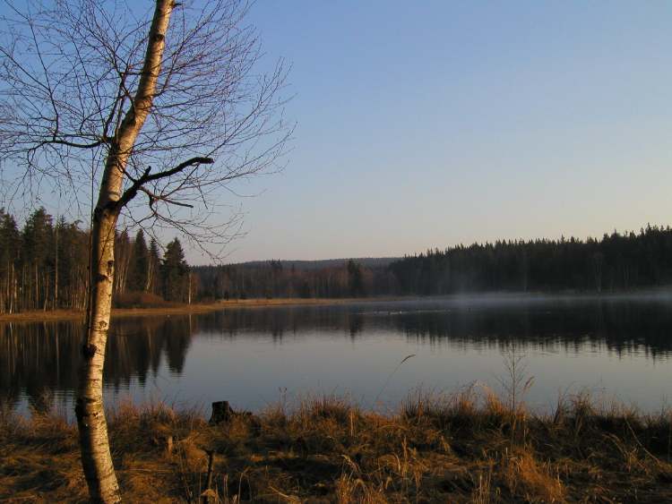 Waldsee im Erzgebierge bei Elterlein (Bitte hier klicken um dieses Bild in seiner vollen Größe zu betrachten)