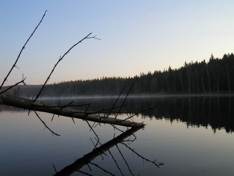 Waldsee im Erzgebierge bei Elterlein im Morgenlicht (Bitte hier klicken um dieses Bild in seiner vollen Größe zu betrachten)