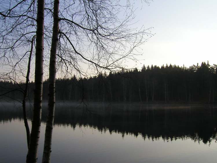 Waldsee iin der Morgendämmerung (Bitte hier klicken um dieses Bild in seiner vollen Größe zu betrachten)
