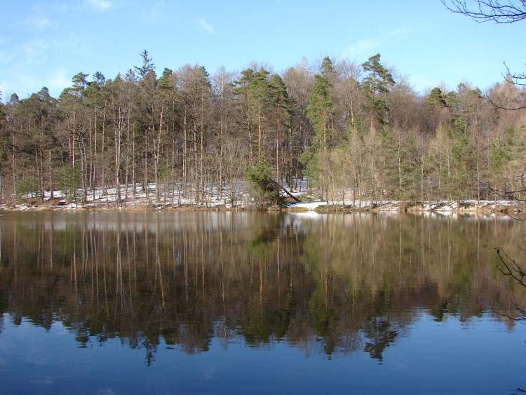 Beim Maibachsee (Bitte hier klicken um dieses Bild in seiner vollen Größe zu betrachten)