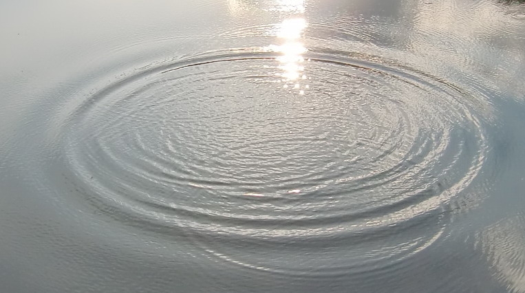 dieser Wasserkreis hat Wildheit in sich (Bitte hier klicken um dieses Bild in seiner vollen Größe zu betrachten)