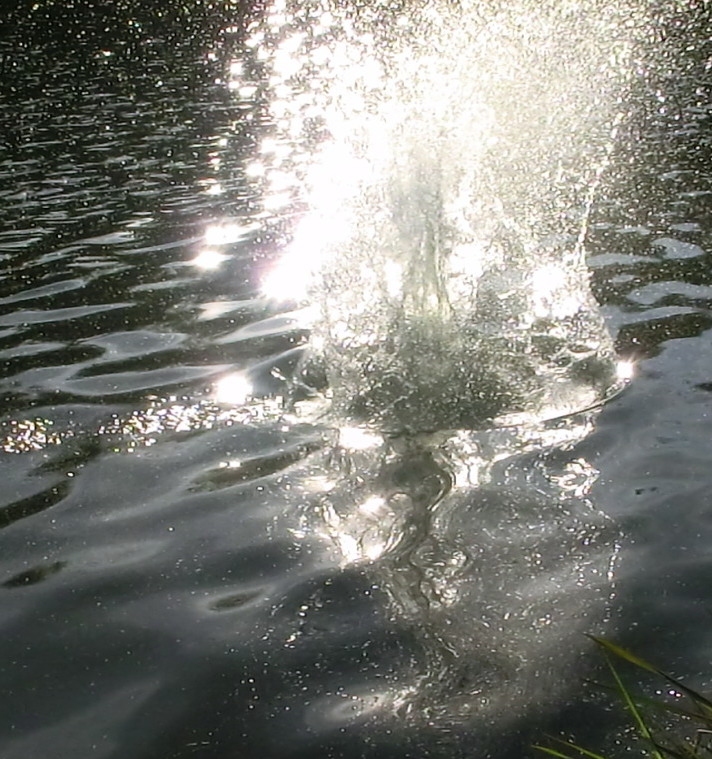 Spegelung der Wasserfontaine (Bitte hier klicken um dieses Bild in seiner vollen Größe zu betrachten)