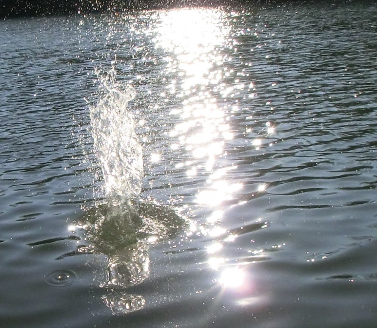 Wasserfontaine aus dem See mit Lichtfunkeln (Bitte hier klicken um dieses Bild in seiner vollen Größe zu betrachten)